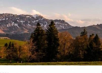 Carbon Credits — representative imagery